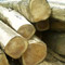 Plantation Teak Logs