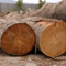 Tropical Hardwood Logs - Bangkirai Logs