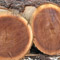 Walnut Logs