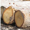 White Oak Logs 
