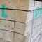 Green Sawn with AST 100x100